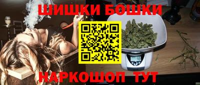 стаф Сланцы