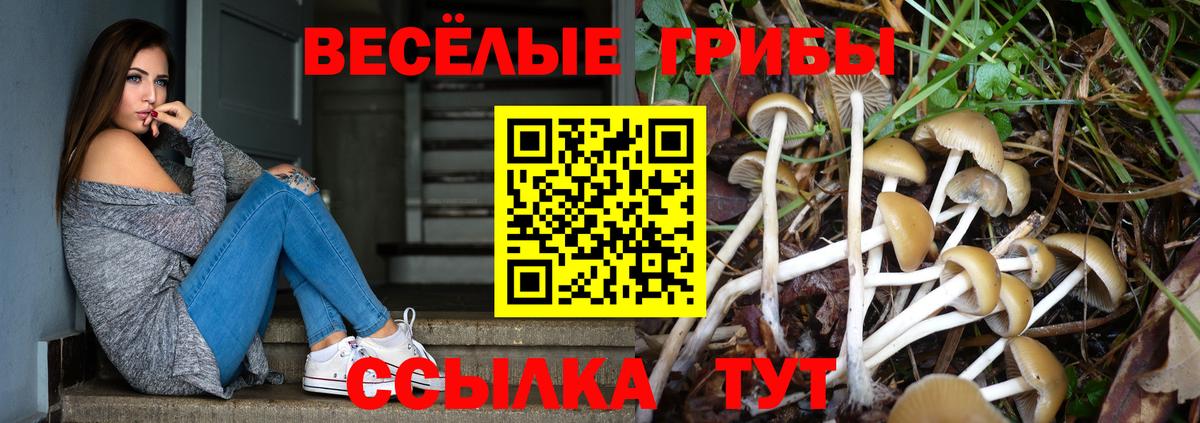 Псилоцибиновые грибы ЛСД Наро-Фоминск